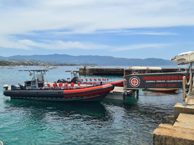 sortie en mer semi-rigide team building Haute-Corse