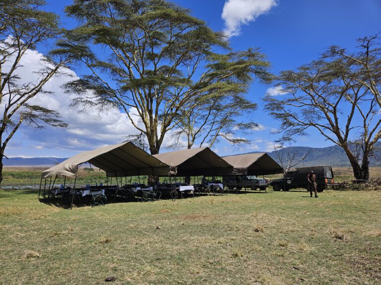 lodge safari Tanzanie hébergement exclusif incentive entreprise