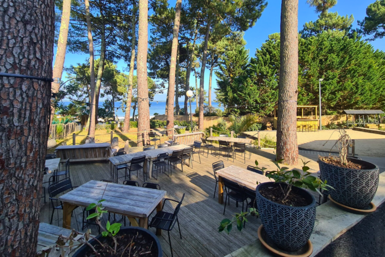 terrasse séminaire en plein air dans les pins des Landes