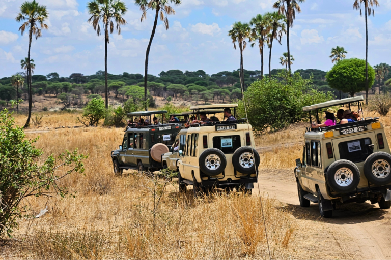 safari palmiers Tanzanie Zanzibar incentive entreprise longue distance