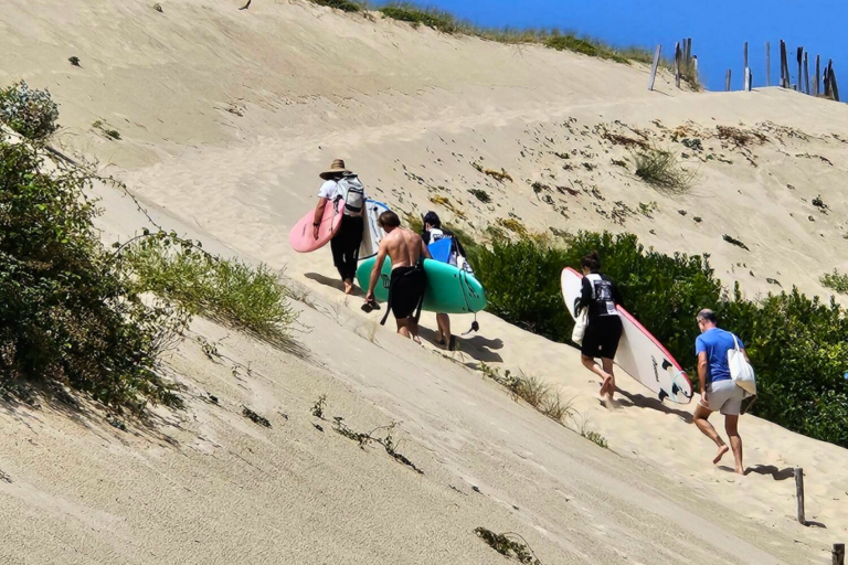 activité surf team building dune du Pilat Landes