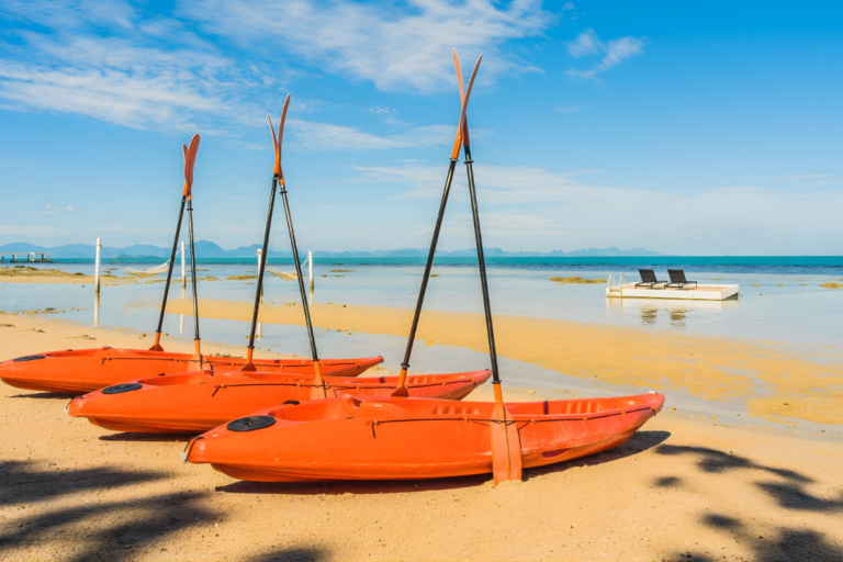 activité catamaran plage incentive entreprise Landes